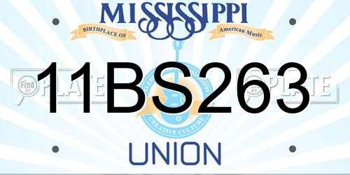 11BS263 Mississippi License Plate