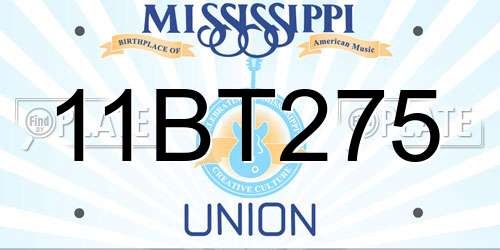11BT275 Mississippi License Plate