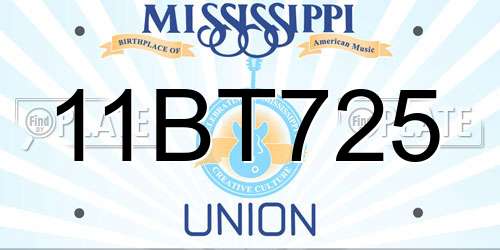 11BT725 Mississippi License Plate