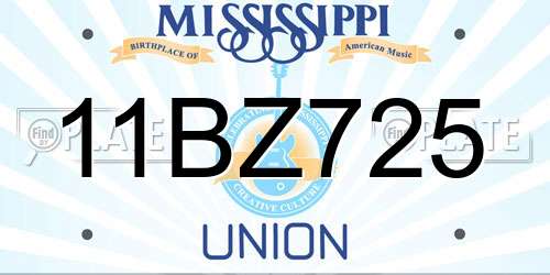 11BZ725 Mississippi License Plate