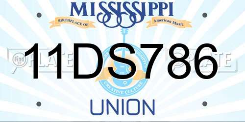 11DS786 Mississippi License Plate