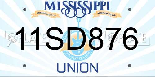 11SD876 Mississippi License Plate