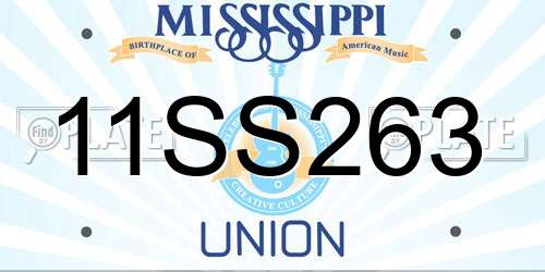 11SS263 Mississippi License Plate