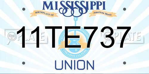 11TE737 Mississippi License Plate