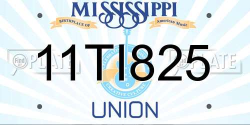 11TI825 Mississippi License Plate