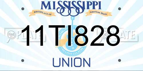 11TI828 Mississippi License Plate