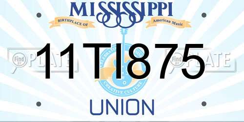 11TI875 Mississippi License Plate