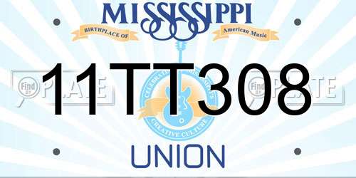 11TT308 Mississippi License Plate
