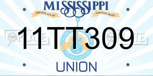 11TT309 Mississippi License Plate