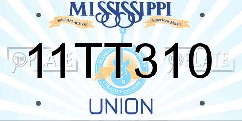11TT310 Mississippi License Plate
