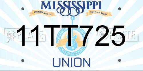 11TT725 Mississippi License Plate