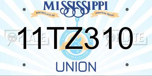 11TZ310 Mississippi License Plate