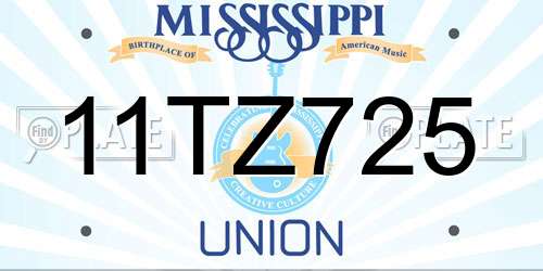 11TZ725 Mississippi License Plate