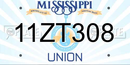 11ZT308 Mississippi License Plate