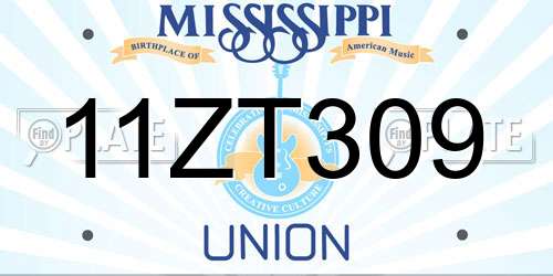 11ZT309 Mississippi License Plate
