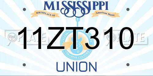 11ZT310 Mississippi License Plate