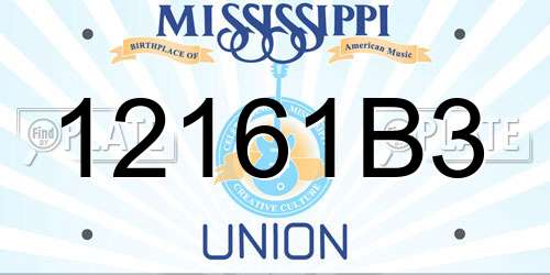 12161B3 Mississippi License Plate