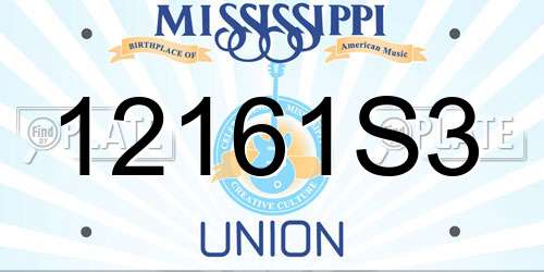 12161S3 Mississippi License Plate