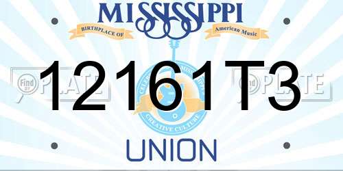 12161T3 Mississippi License Plate