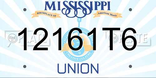 12161T6 Mississippi License Plate