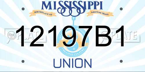 12197B1 Mississippi License Plate