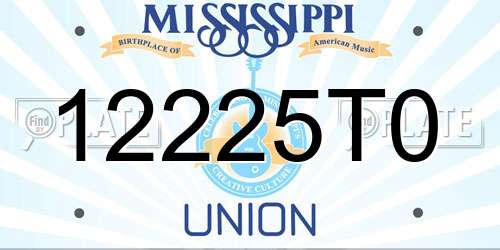12225T0 Mississippi License Plate
