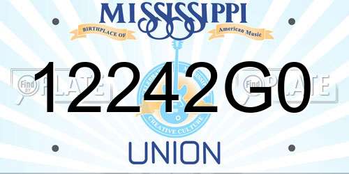 12242G0 Mississippi License Plate