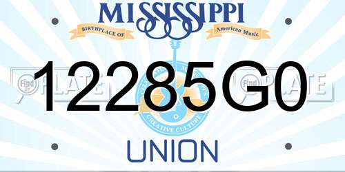 12285G0 Mississippi License Plate
