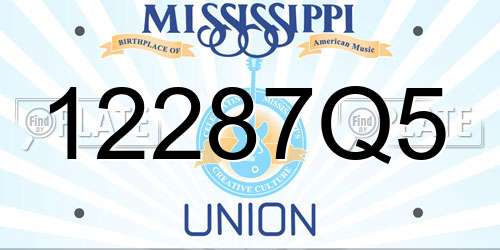 12287Q5 Mississippi License Plate