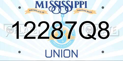 12287Q8 Mississippi License Plate