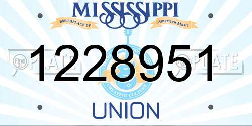 1228951 Mississippi License Plate