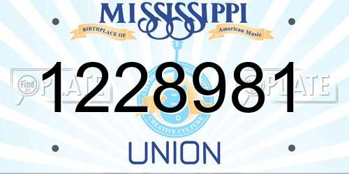 1228981 Mississippi License Plate