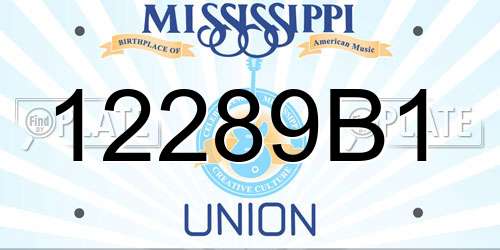12289B1 Mississippi License Plate