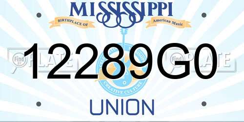 12289G0 Mississippi License Plate