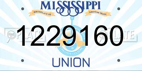 1229160 Mississippi License Plate
