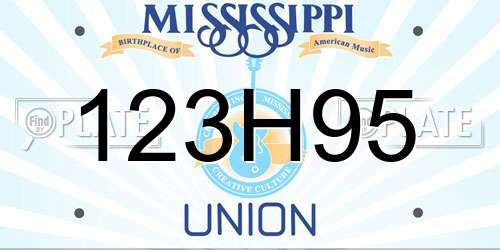 123H95 Mississippi License Plate