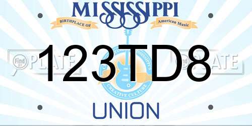 123TD8 Mississippi License Plate