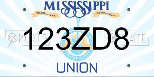 123ZD8 Mississippi License Plate