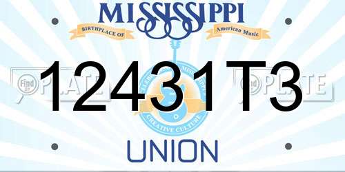 12431T3 Mississippi License Plate