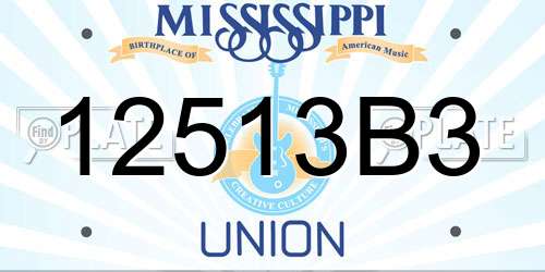 12513B3 Mississippi License Plate