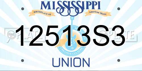 12513S3 Mississippi License Plate