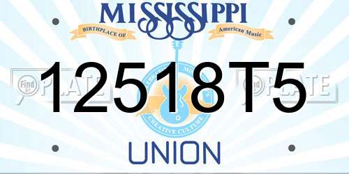 12518T5 Mississippi License Plate