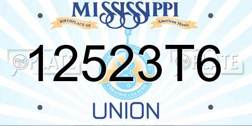 12523T6 Mississippi License Plate