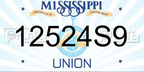 12524S9 Mississippi License Plate