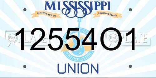 12554O1 Mississippi License Plate