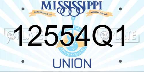 12554Q1 Mississippi License Plate