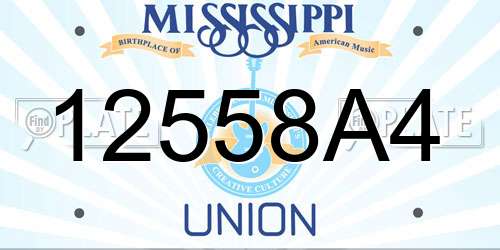 12558A4 Mississippi License Plate