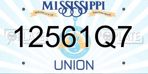 12561Q7 Mississippi License Plate
