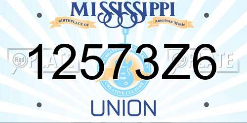 12573Z6 Mississippi License Plate