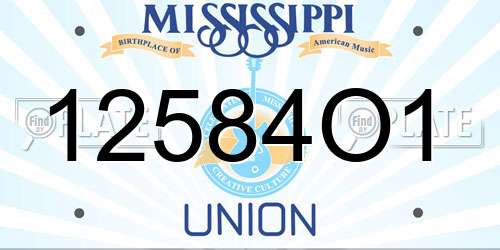 12584O1 Mississippi License Plate